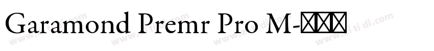 Garamond Premr Pro M字体转换